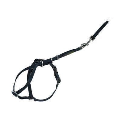 Cat Leashes