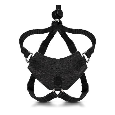 Cat Harnesses