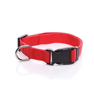 Dogs Collar