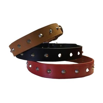 Dogs Collar