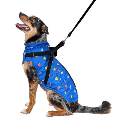 Dogs Harnesses & Coat