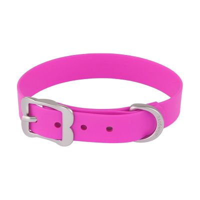 Dogs Collar