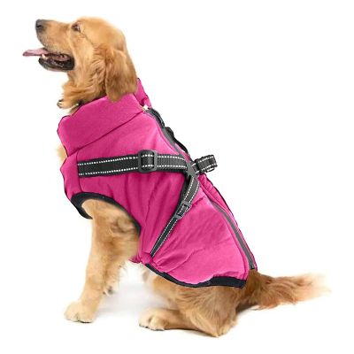 Dogs Harnesses & Coat