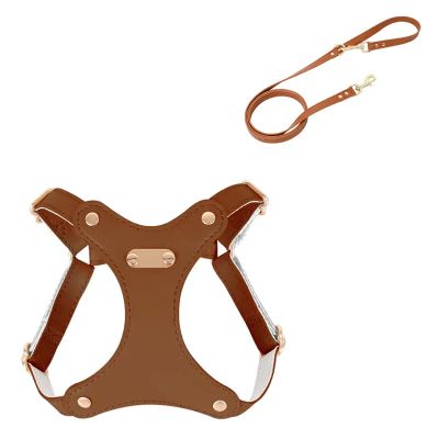 Cat Leashes