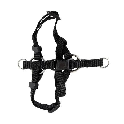Cat Harnesses