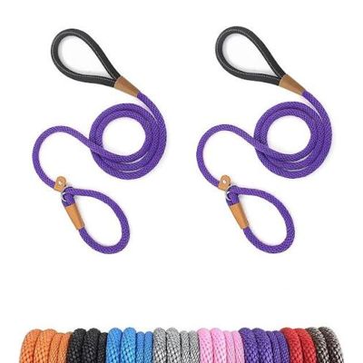 Dogs Leashes and Lead