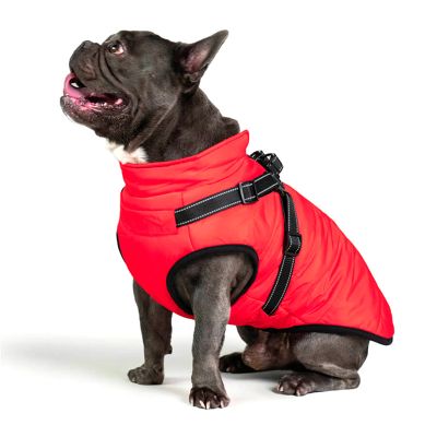 Dogs Harnesses & Coat