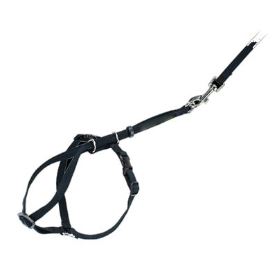 Cat Harnesses
