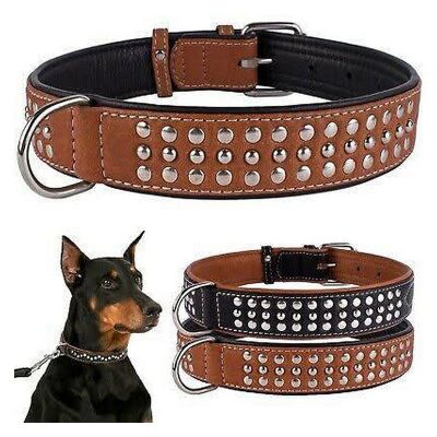 Dogs Collar