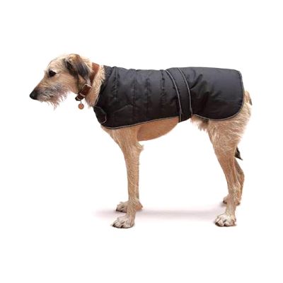 Dogs Harnesses & Coat