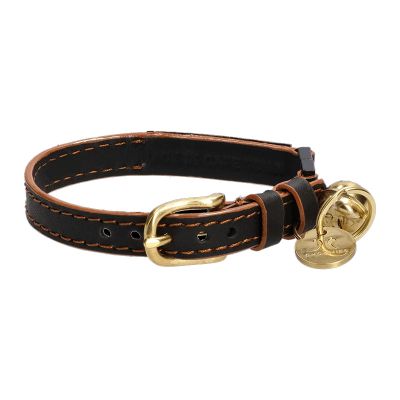 Cat Collar