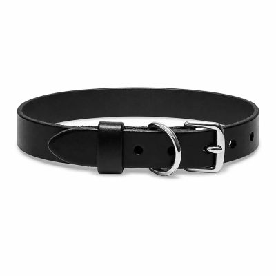 Dogs Collar