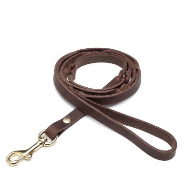 Dogs Leashes and Lead