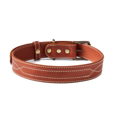Dogs Collar