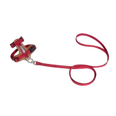 Cat Leashes