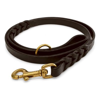 Dogs Collar